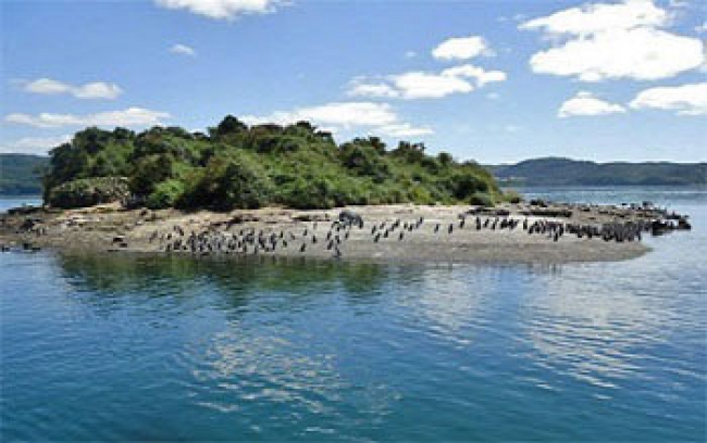 NAVEGANDO ENTRE GLACIARES: DESCUBRE EL SUR DE CHILE A BORDO DEL SKORPIOS II- SALIDA 21/11/25