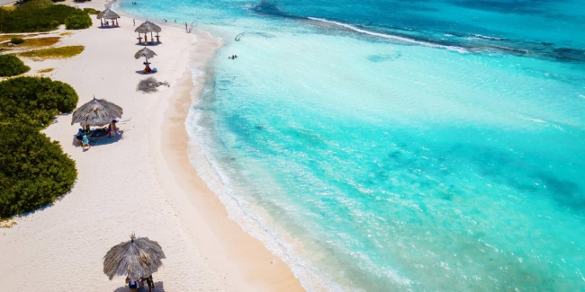 ENERO 2026 - CARIBE SIN VISA: CRUCERO ROYAL CARIBBEAN Y ENCANTO PANAMEO SALIDA 23/1/26
