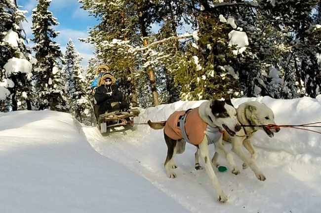 EXPEDICION ARTICA - Noruega, Suecia y Finlandia -