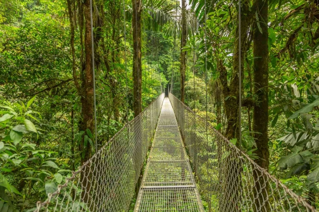 AVENTURA EN COSTA RICA - 2026